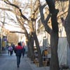 Hutong